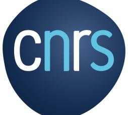 Logo CNRS couleurs