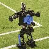 Robocup